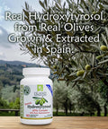 Island Nutrition , 20% Hydroxytyrosol Complex Olive Fruit Extract - Super Strength 100% Grown & Extracted In Spain. 90 Capsules, 100 Mg, From The Maker Of Real European Olive Leaf Extract
