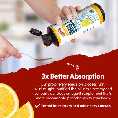 Barlean's Seriously Delicious Omega 3 Sorbet Lemon Creme From Fish Oil With 1080Mg Of Epa Dha All Natural Fruit Flavor Non Gmo Gluten Free 8 Ounce Bottle Fg 10043