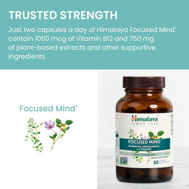 Himalaya Focused Mind With Ashwagandha, Bacopa & L-Theanine For Focus, Energy And Attention, 60 Capsules, 1 Month Supply, Vegan, Gluten Free