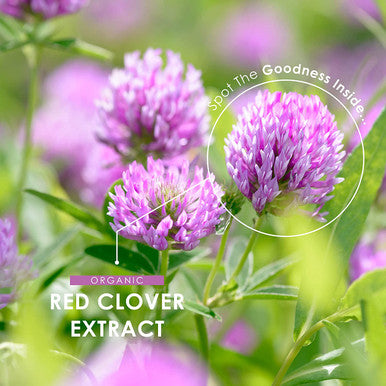 Organic Red Clover Extract 5250mg - for Use During The Menopause - Potent 15:1 Pure Extract - Organic, Non GMO, Gluten , Halal - 60 Vegan Capsules