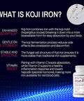 Koji Fermented Iron Plus - Iron Supplement With Vitamin C, Vitamin D3 And Folate For Blood Support, Easily Absorbed And Bioavailable, Stomach Friendly, Vegan, Non-Gmo - 60 Capsules