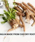 It's Just - Inulin Prebiotic Fiber Sweetener, Product of Belgium, Chicory Root Powder (2 Pound)