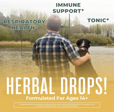 Maryruth Organics USDA Organic Respiratory Health Liquid Drops with Mullein Leaf | Marshmallow Root & Elderberry | Mullein Drops for Lungs Herbal Blend | Immune Support Supplement | Non-GMO | Vegan | 1 Fl Oz
