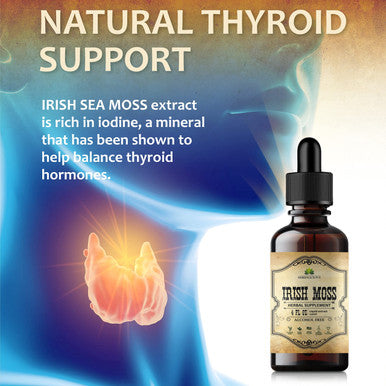 HERBALICIOUS Natural Irish Moss Extract - Organic Drops For Thyroid Function Support, Digestion, Energy Boost - Liquid Dietary Supplement - Vegetarian-Friendly Formula - 4Oz Bottle