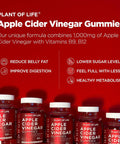 Apple Cider Vinegar Gummies by Plant of Life - with Raw, Organic, Unfiltered with The 'Mother' ACV - Vegan & Non-GMO Gummies - 60 Count