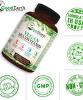 Vegan Multivitamins For Men & Women - Vitamins A , B Complex , C , D3 , Zinc , Magnesium , Spirulina , Antioxidants - Daily Multivitamin Mineral Supplement With Proprietary Fruit & Vegetable Blend
