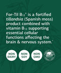 Standard Process For Til B12 Dietary Supplement 90 Capsules