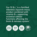 Standard Process For Til B12 Dietary Supplement 90 Capsules