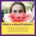 InnovixLabs Mood Probiotic 60 Capsules Lactobacillus helveticus Rosell 52ND Bifidobacterium longum Rosell 175 1st Probiotic Formula Clinically Studied for Mood Support Probiotics for Men Women