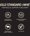 Optimum Nutrition Gold Standard 100% Whey Protein Powder Chocolate Peanut Butter 3.3 Pound