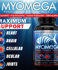 Myogenix Myomega Premium Icelandic Omega 3 With Co-Q10 And Astaxanthin Omega 3 Supplement To Support Brain Joint And Heart Health Powerful Antioxidant 90 Softgels (1200Mg)