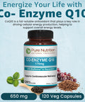 Pure Nutrition Bio Coenzyme Q10-175Mg 120 Veg Caps Coq10 With Bioperine & Arjuna Extract Nutrient-Rich Botanicals For Daily Wellness Non-Gmo