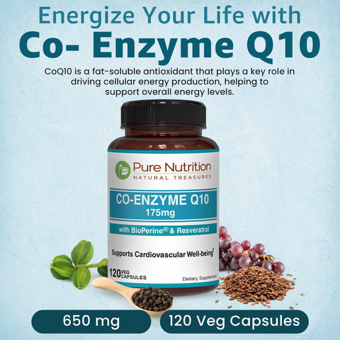 Pure Nutrition Bio Coenzyme Q10-175Mg 120 Veg Caps Coq10 With Bioperine & Arjuna Extract Nutrient-Rich Botanicals For Daily Wellness Non-Gmo