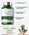Carlyle Uva Ursi Capsules | 1440mg | 150 Count | Herbal Leaf Extract | Non-GMO | Gluten Supplement