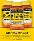 Mason Natural Stress B-Complex With Antioxidants + Zinc, 6 Month Supply, Dual Action Formula, Supports Energy Metabolism & Immune Health, 3 Pack