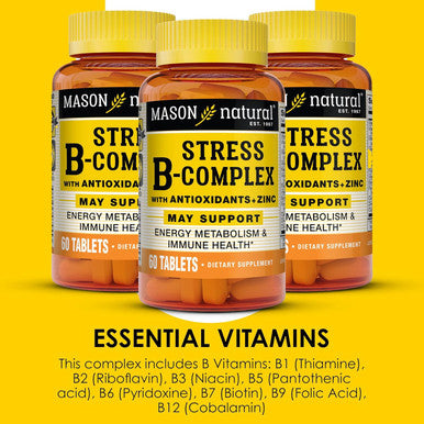 Mason Natural Stress B-Complex With Antioxidants + Zinc, 6 Month Supply, Dual Action Formula, Supports Energy Metabolism & Immune Health, 3 Pack