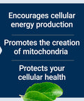Life Extension Mitochondrial Energy Optizmer with PQQ 120 Count