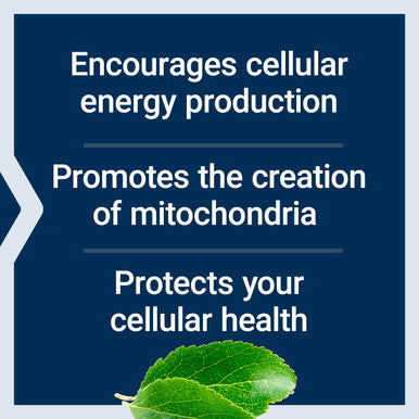 Life Extension Mitochondrial Energy Optizmer with PQQ 120 Count