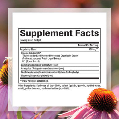 Natural Factors AntiV Formula Echinacea Supplement for Immune and Wellness Support Organic NonGMO 120 Softgels