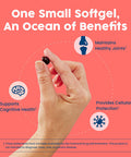 NativePath Antarctic Krill Oil - Wild-Caught Omega 3 Krill Oil 500mg Softgels with EPA DHA and Astaxanthin - Supplement for Joint Heart Brain and Immunity - 60 ct - No Fishy Aftertaste