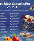 25in1 Sea Moss Black Seed Oil Ashwagandha Ginger Shilajit Supplement Sea Moss Capsules Pro with Bladder Burdock Ceylon Cinnamon Berberine ACV Manuka VIT C and D3 for Men Women 120 Vegan Caps