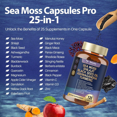 25in1 Sea Moss Black Seed Oil Ashwagandha Ginger Shilajit Supplement Sea Moss Capsules Pro with Bladder Burdock Ceylon Cinnamon Berberine ACV Manuka VIT C and D3 for Men Women 120 Vegan Caps