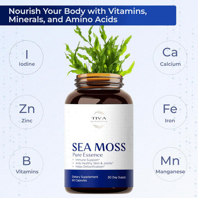 Irish Sea Moss Capsules With Bladderwrack, Burdock Root & Bioperine Immune Support, Energy Boost & Gut Health 60 Vegan Capsules