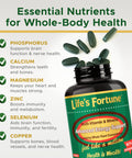 Life's Fortune Multivitamin & Mineral 60 Tablets All Natural Energy Source Supplying Whole Food Concentrates Antioxidants Amino Acids Enzymes Trace Minerals & More