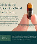 Gaia Herbs Rhodiola Rosea 60 Capsules