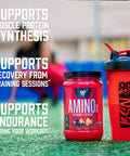 Bsn Amino X 70 Serving