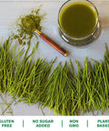 Amazing Grass Wheat Grass Powder: 100% Whole-Leaf Wheat Grass Powder for Energy, Detox & Immunity Support, Chlorophyll Providing Greens, 100 Servings
