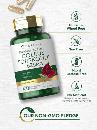 Carlyle Coleus Forskohlii Capsules | 625mg | 100 Count | Non-GMO & Gluten Standardized Extract | Forskolin Supplement