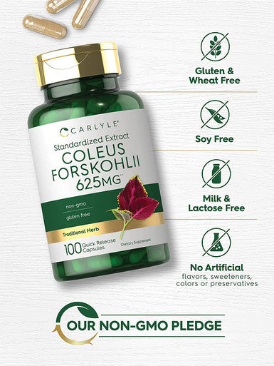 Carlyle Coleus Forskohlii Capsules | 625Mg | 100 Count | Non-Gmo & Gluten Free Standardized Extract | Forskolin Supplement