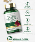 Carlyle Coleus Forskohlii Capsules | 625Mg | 100 Count | Non-Gmo & Gluten Free Standardized Extract | Forskolin Supplement