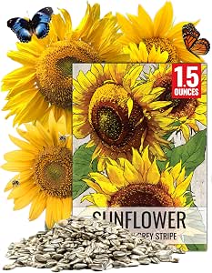 Seed Needs Sunflower Seeds to Plant Mammoth Grey Stripe 1.5 Ounce Bulk Pack