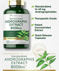 Carlyle Andrographis Paniculata Capsules | 8000 mg | 120 Capsules | Non-GMO & Gluten Free Supplement