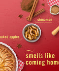 Febreze Air Mist Air Freshener Spray Odor-Fighting Room Spray Air Fresheners For Home And Bathroom And Kitchen Aerosol Can Baked Cinnamon Apples Scent 8.8Oz 2 Count