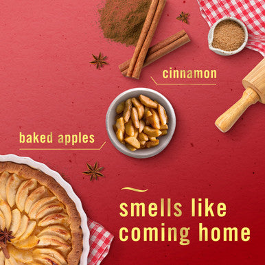Febreze Air Mist Air Freshener Spray Odor-Fighting Room Spray Air Fresheners For Home And Bathroom And Kitchen Aerosol Can Baked Cinnamon Apples Scent 8.8Oz 2 Count