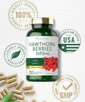 Carlyle Hawthorn Berry Capsules | 1695mg | 250 Capsules | Non-GMO Gluten Extract