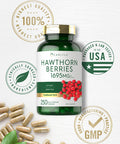 Carlyle Hawthorn Berry Capsules | 1695Mg | 250 Capsules | Vegetarian, Non-Gmo, Gluten Free Extract