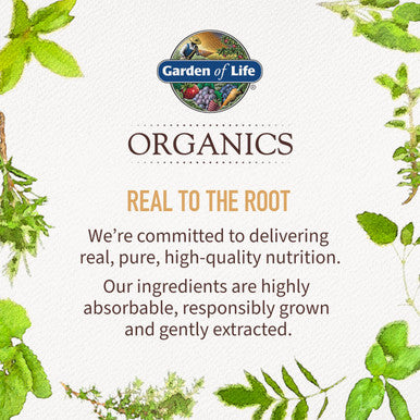 Garden of Life Organics Fair Trade Gelatinized Peruvian Maca Root Energy Boost 7.93 Oz (225G) Powder With Probiotics Certified Organic Non-Gmo Vegan & Gluten Free Herbal Supplements