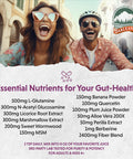 Barlean's Platinum Intestinal Repair Mixed Berry 6.35 Oz. 169635
