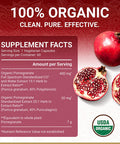 Pomegranate Extract Supplement Ellagic Acid High Punicalagins USDA Organic Pomegranate Supplement Blend of Pomegranate Fruit Seeds and Peel Extract 60 Vegan Pomegranate Capsules