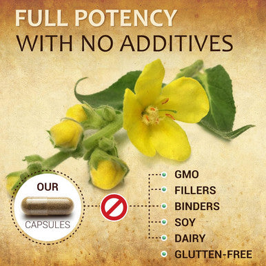 Herbalicious Mullein Leaf Capsules - Verbascum Thapsus Supplement - Herbal Extract Promoting Lung Respiratory & Digestive Wellness - Lung Cleanse & Detox Support Pills - Vegan Non-GMO 100 Tablets