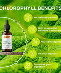 SIRUNES Liquid Chlorophyll Drops - Natural Sodium Copper Chlorophyllin Extract - Cleanse & Support Your Immune System & Energy Naturally - Vegan, Non-Gmo Dietary Greens Tincture - 2 Fl. Oz Bottle