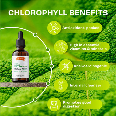 SIRUNES Liquid Chlorophyll Drops - Natural Sodium Copper Chlorophyllin Extract - Cleanse & Support Your Immune System & Energy Naturally - Vegan, Non-Gmo Dietary Greens Tincture - 2 Fl. Oz Bottle