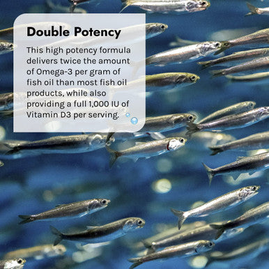 Irwin Naturals Double-Potency Fish Oil 2,000Mg Purified Daily Wellness Formula With High Levels Of Omega-3 Efa'S Vitamin D3 Epa & Dha - Natural Non-Fishy Citrus Flavor - 60 Liquid Softgels