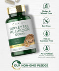 Carlyle Turkey Tail Mushroom Capsules | 1200mg | 200 Count | Non-GMO & Gluten Extract
