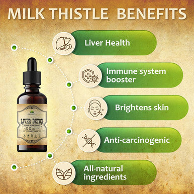 Herbalicious Liver Supplement Natural Liver Support Drops Herbal Supplement Drink with Milk Thistle Angelica Root Dandelion Root Turmeric Peppermint - Liver Cleanse Detox 4 fl oz