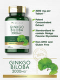 Carlyle Ginkgo Biloba 3000mg | 400 Tablets | Vegetarian Supplement | Non-GMO, Gluten Free